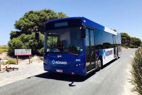 Rottnest Bayseeker Bus Tour From Hillarys Boat Harbour - Sunshine Coast Tourism 0