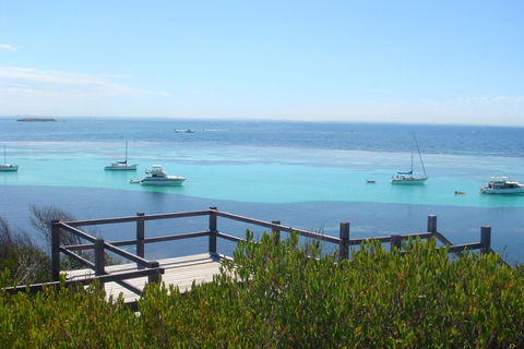 Rottnest Bayseeker Bus Tour From Hillarys Boat Harbour - Sunshine Coast Tourism 3