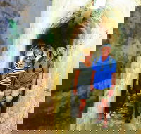 Rottnest Island Historical Train and Tunnel Tour from Hillarys Boat Harbour - Sunshine Coast Tourism