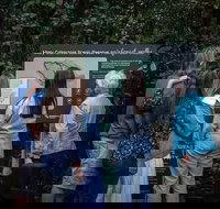 Sunshine Coast Hinterland and Noosa Day Trip from Brisbane Including Eumundi Markets and Ginger Factory - Sunshine Coast Tourism