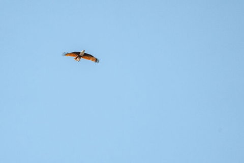 North Stradbroke Island Day Trip From Brisbane - Holiday Sunshine Coast 4