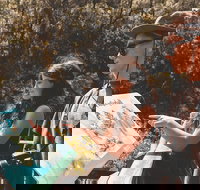 Springbrook andTamborine Rainforest Tour Incl Natural Bridge and Glow Worm Cave - Sunshine Coast Tourism