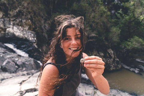 Springbrook AndTamborine Rainforest Tour Incl Natural Bridge And Glow Worm Cave - Sunshine Coast Tourism 1