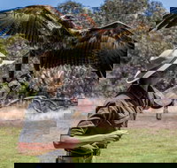 One Day Kangaroo Island Sip  See tour with return ferry transfers from Adelaide - Sunshine Coast Tourism