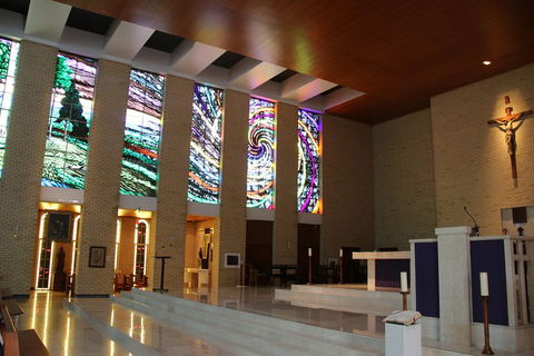 Small-Group Afternoon Cairns City Tour With Harbour Dinner Cruise - Sunshine Coast Tourism 4