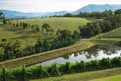 Yarra Valley Wine And Cider Tours By Classic Convertibles From Melbourne - Sunshine Coast Tourism 1