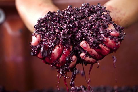 Yarra Valley Wine And Cider Tours By Classic Convertibles From Melbourne - Sunshine Coast Tourism 2