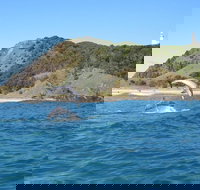 Kayaking with Dolphins in Byron Bay Guided Tour - Holiday Sunshine Coast