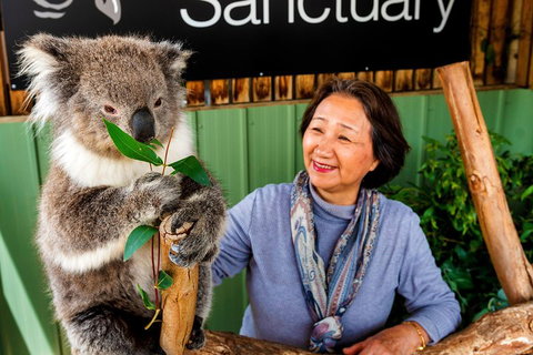 Moonlit Sanctuary Wildlife Conservation Park Daytime General Entry Ticket - Holiday Sunshine Coast 0