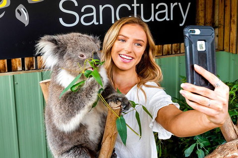 Moonlit Sanctuary Wildlife Conservation Park Daytime General Entry Ticket - Holiday Sunshine Coast 4