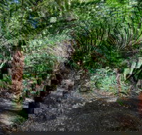 Adelaide to Melbourne 3-Day Trip through Grampians and Great Ocean Road - Sunshine Coast Tourism