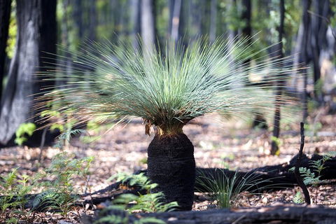 Adelaide To Melbourne 3-Day Trip Through Grampians And Great Ocean Road - Holiday Sunshine Coast 4
