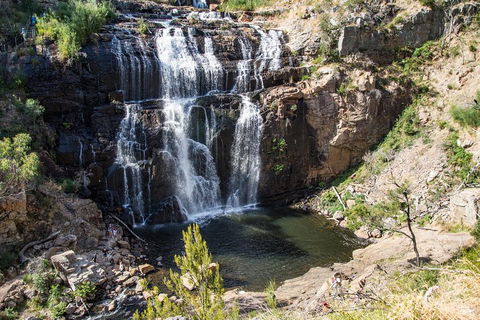 Grampians National Park With Kangaroos And MacKenzie Falls From Melbourne - Holiday Sunshine Coast 1