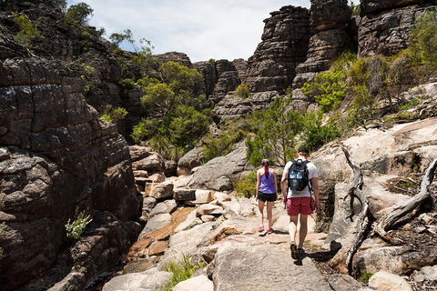 Grampians National Park With Kangaroos And MacKenzie Falls From Melbourne - Holiday Sunshine Coast 3