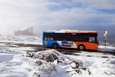 Hobart Hop-On Hop-Off Bus & Kunanyi/Mt Wellington Tour - Sunshine Coast Tourism 5