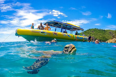 Great Barrier Reef Scenic Flight And Ocean Rafting Whitehaven Beach Day Trip - Holiday Sunshine Coast 1