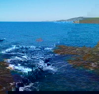 Julian Rocks Byron Bay Cruise - Holiday Sunshine Coast