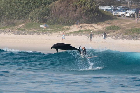 Cruise With Dolphins In Byron Bay - Holiday Sunshine Coast 3