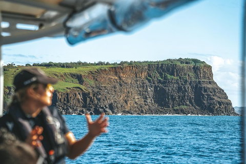 Cruise With Dolphins In Byron Bay - Holiday Sunshine Coast 4