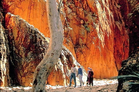 West MacDonnell Ranges Day Trip From Alice Springs - Holiday Sunshine Coast 3