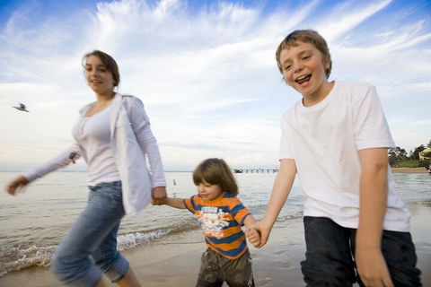 Phillip Island Penguin And Koala Highlights Day-Trip From Melbourne - Sunshine Coast Tourism 0