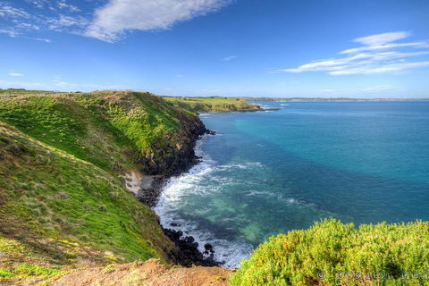 Phillip Island Penguin And Koala Highlights Day-Trip From Melbourne - Sunshine Coast Tourism 5