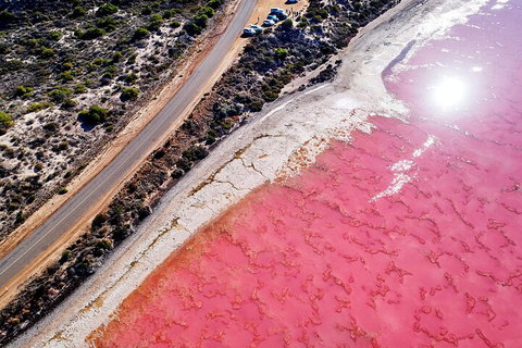 7-Day Exmouth Explorer Via Pinnacles Monkey Mia Ningaloo Reef Returning To Perth - Sunshine Coast Tourism 0