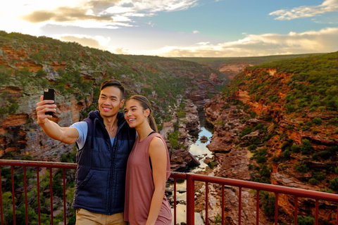 7-Day Exmouth Explorer Via Pinnacles Monkey Mia Ningaloo Reef Returning To Perth - Sunshine Coast Tourism 5