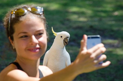 Melbourne To Adelaide South East Coast 3 Day Overland Tour - Sunshine Coast Tourism 3