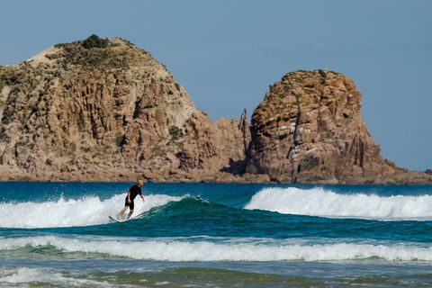 Small-Group Phillip Island Day Trip From Melbourne With Penguin Plus Viewing - Sunshine Coast Tourism 3