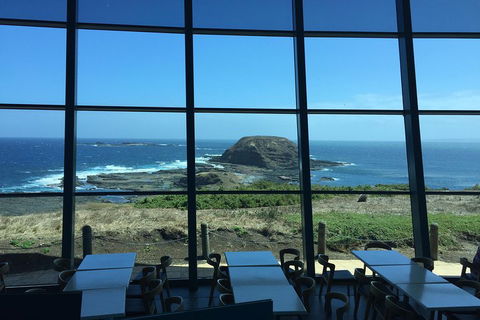 Small-Group Phillip Island Day Trip From Melbourne With Penguin Plus Viewing - Sunshine Coast Tourism 5