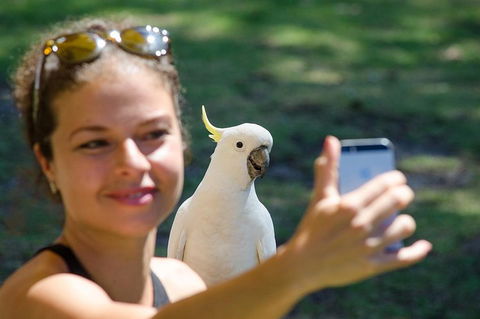 Small-Group Great Ocean Road Experience And Surf Coast Tour - Sunshine Coast Tourism 3