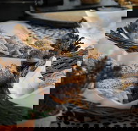 Eumundi Markets and Sunshine Coast Day Trip from Brisbane - Sunshine Coast Tourism