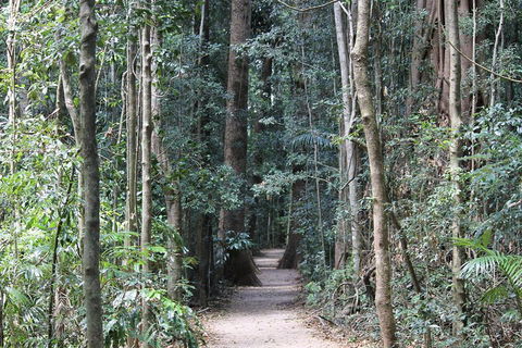 Eumundi Markets And Sunshine Coast Day Trip From Brisbane - Holiday Sunshine Coast 4