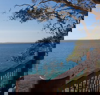 Noosa and Sunshine Coast Hinterland Day Trip from Brisbane - Sunshine Coast Tourism