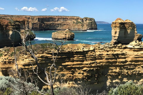 Great Ocean Road Reverse Itinerary Tour - Sunshine Coast Tourism 1