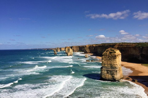 Great Ocean Road Reverse Itinerary Tour - Sunshine Coast Tourism 4