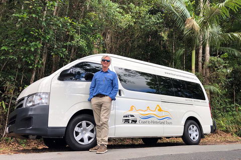 Sunshine Coast Hinterland Rainforest, Views And Montville Day Tour Inc. Lunch - Sunshine Coast Tourism 1