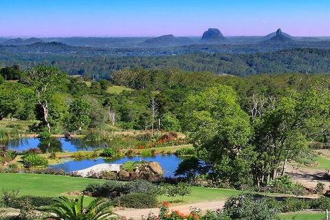 Sunshine Coast Hinterland Rainforest, Views And Montville Day Tour Inc. Lunch - Sunshine Coast Tourism 5
