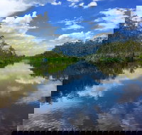 Noosa Everglades Serenity Cruise  Highlights Tour Inc. Lunch  Cruise