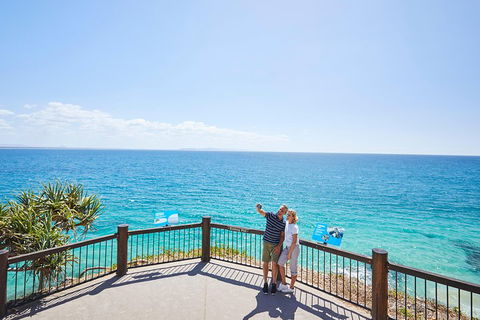 Noosa Everglades Serenity Cruise & Highlights Tour Inc. Lunch & Cruise - Sunshine Coast Tourism 3