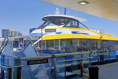 Brisbane City Essentials Walking Tour - Holiday Sunshine Coast 3