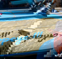 Torrens River Cruise in Adelaide - Sunshine Coast Tourism