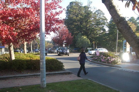 PRIVATE All-Day Blue Mountains Tour With Professional Guide For Up To 4 People - Sunshine Coast Tourism 1