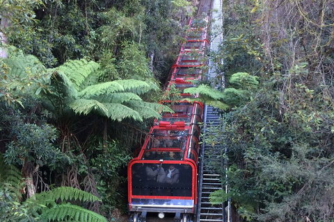 Blue Mountains Private Full-Day Tour From Sydney With Cruise - Sunshine Coast Tourism 5