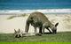 Great Ocean Road Highlights Tour - 2 Days, 1 Night - thumb 2