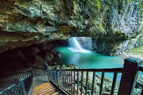 Springbrook Full Day Tour - Sunshine Coast Tourism 4