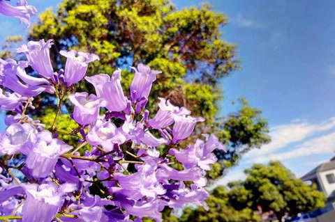 Big Perth (Private) Day Tour - Sunshine Coast Tourism 3