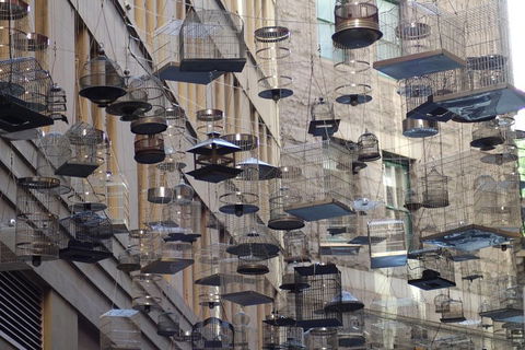 Sydney Scavenger Hunt: Inside Sydney - Sunshine Coast Tourism 0