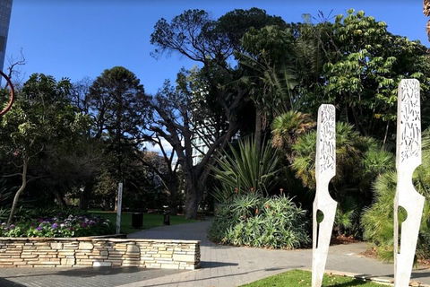 Perth Scavenger Hunt: Perched On A Swan - Sunshine Coast Tourism 2